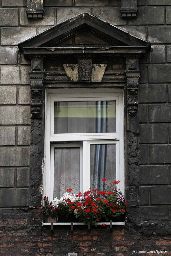 Okno, elewacja frontowa. Fot. Anna Szwałkiewicz, 2020, źródło: lapidarium detalu.