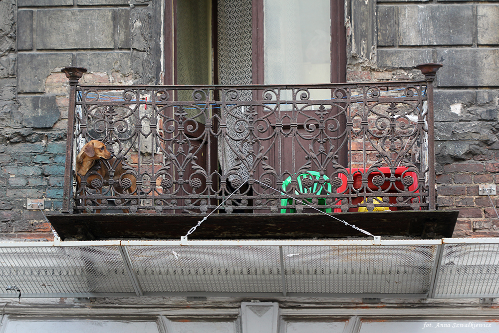Balkon, elewacja frontowa. Fot. Anna Szwałkiewicz, 2020, źródło: lapidarium detalu.