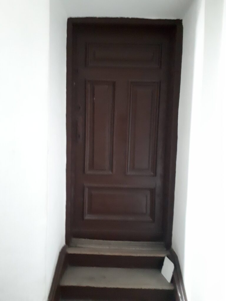 Drzwi na klatce schodowej w oficynie bocznej. Fot. Robert Marcinkowski, 2020, źródło: lapidarium detalu.