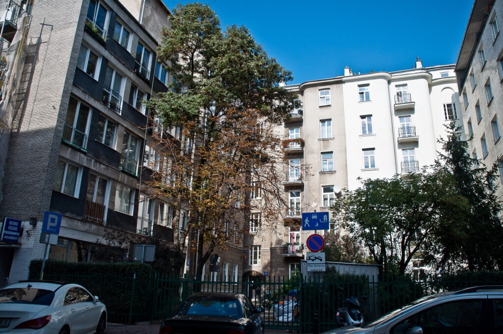 Widok ogólny od strony ulicy Wilczej, obecne n-ry 16 (po lewej) i 14b (po prawej). Fot. Teresa Adamiak, 2020, źródło: lapidarium detalu.