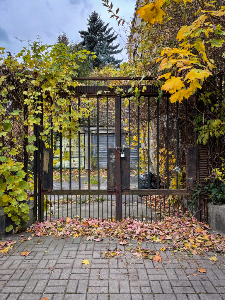 Brama ogrodowa od ul. Lenartowicza. Fot. Mariusz Majewski, 2021, źródło: Studeo et Conservo