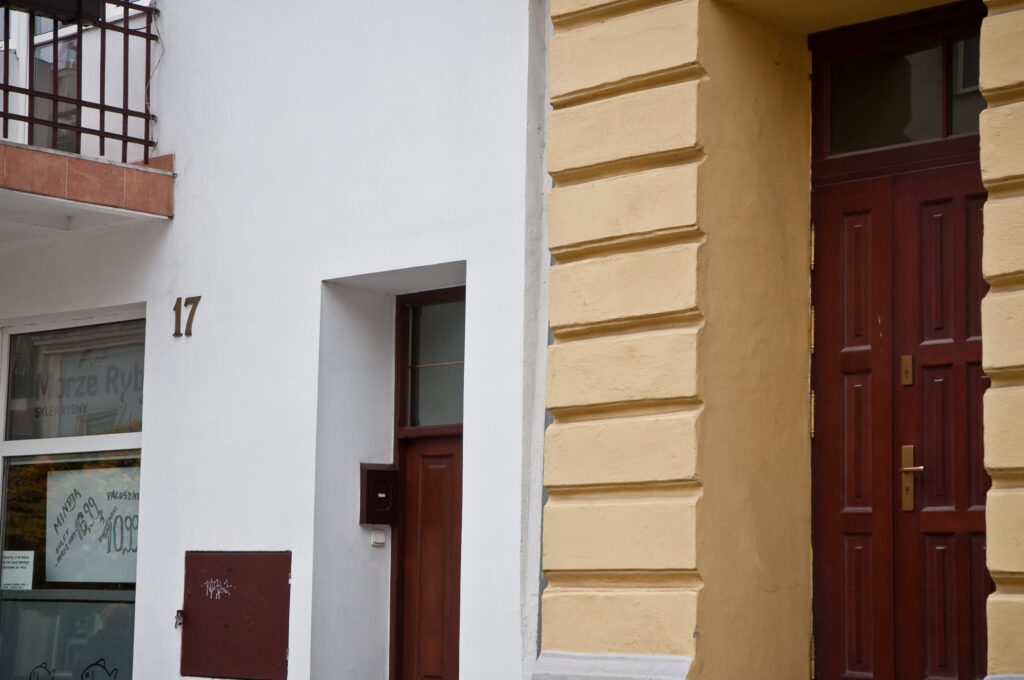 Drzwi (lewe), elewacja frontowa. Fot. Teresa Adamiak, 2021, źródło: Res in Ornamento