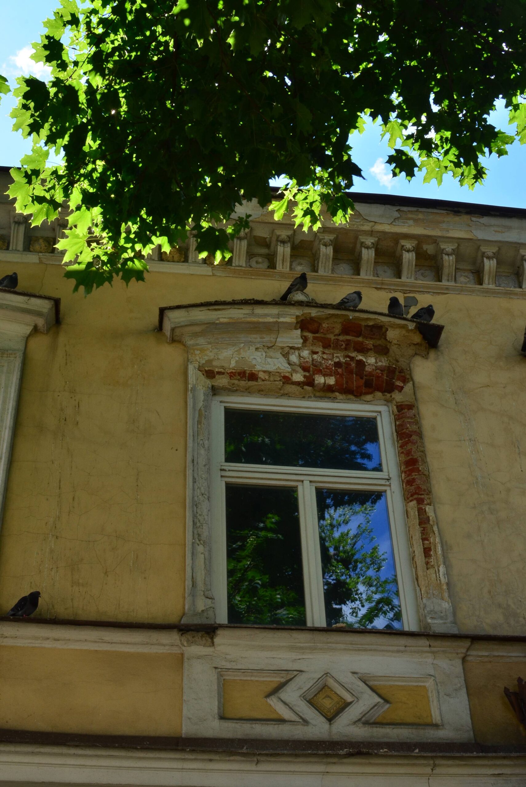 Elewacja frontowa - część środkowa. Pierwsze okno po lewej stronie od balkonu. Fot. Martyna Leciak. 2022 r., źródło: Res in Ornamento II.
