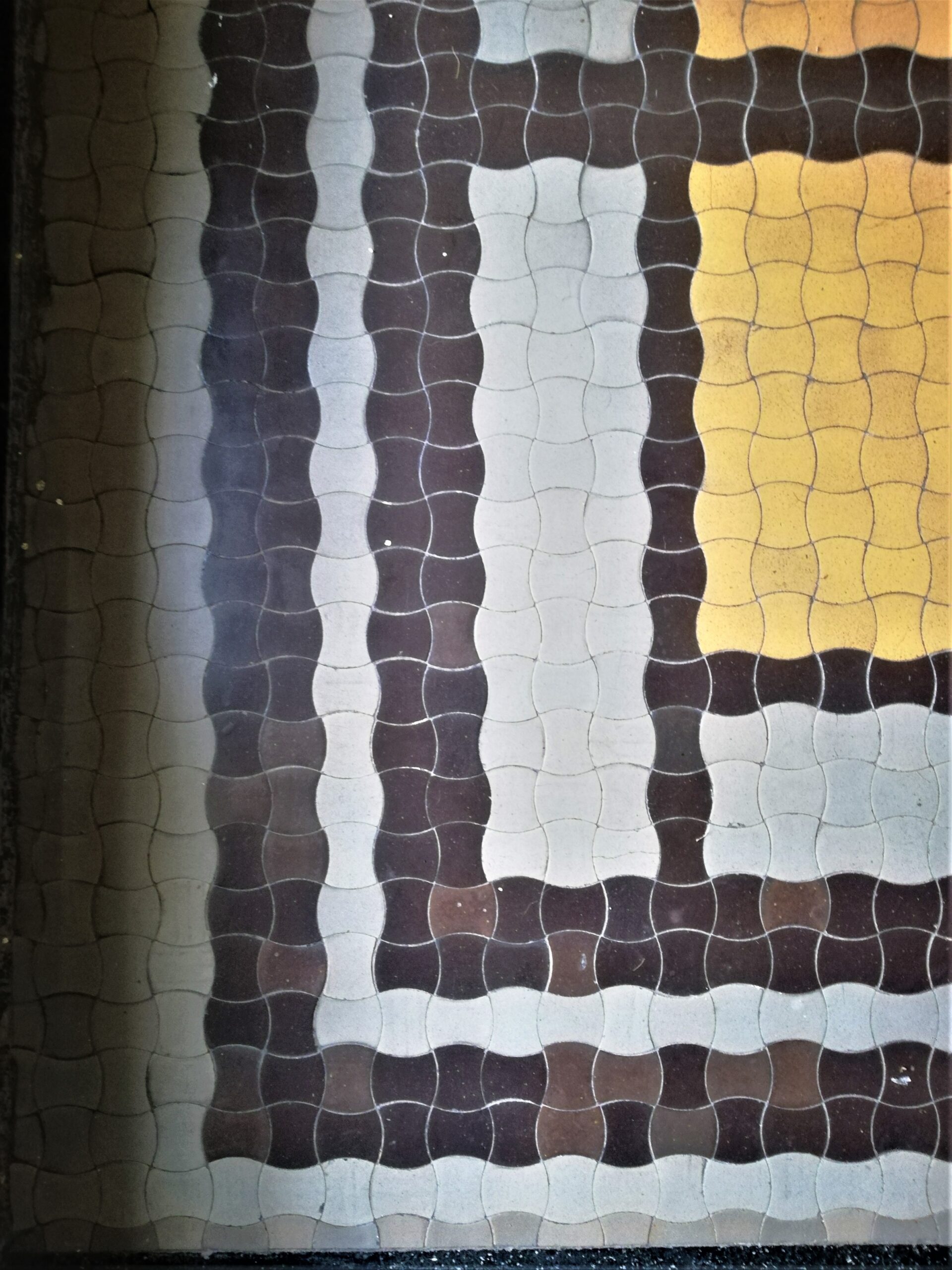 Agnieszka Sienkiewicz (2)